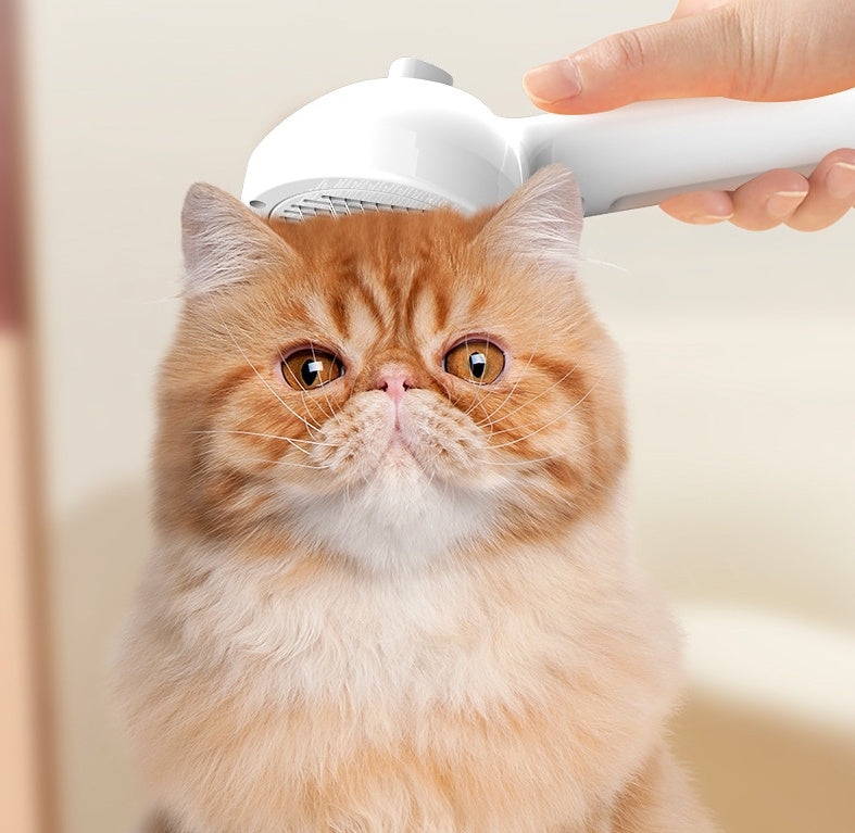Pet Fresh Brush