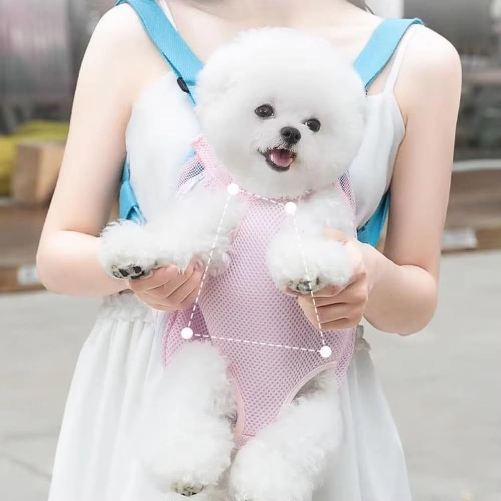 pet carrier bag
