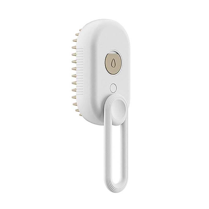 Steam Brush Pet